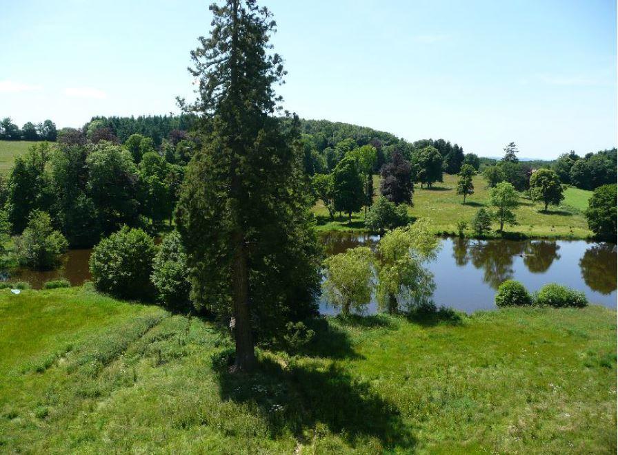Chateau De Saint-Maixant Екстер'єр фото